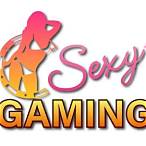 sexygaming bet